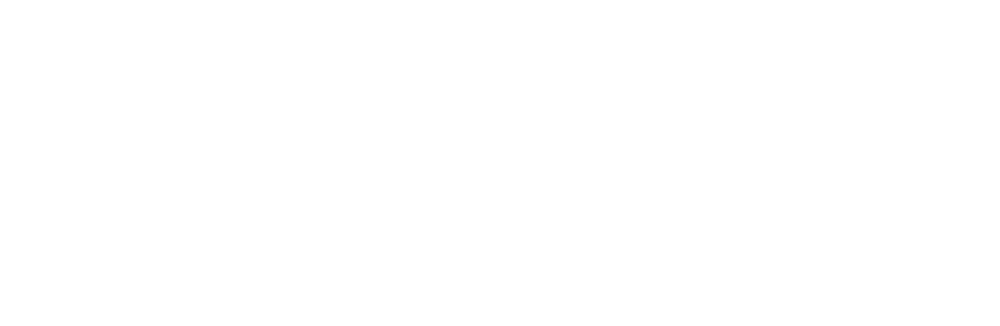 Ion Group Spa